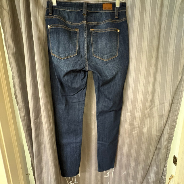 Judy Blue SIZE 3 Women's Jeans
