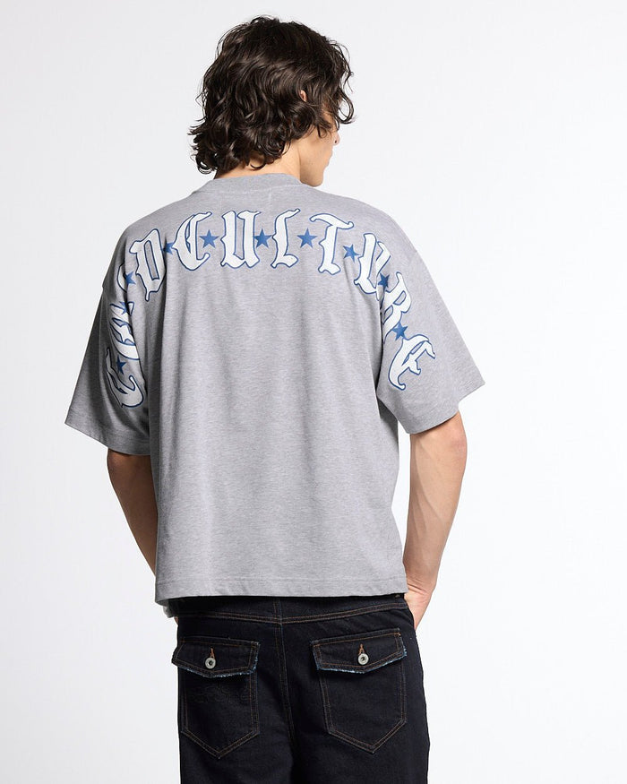 GOTHIC CURVED TEE GREY - grey gothic print tee, back view on male model - Cold Culture