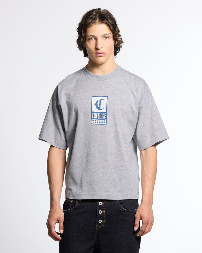 GOTHIC CURVED TEE GREY - grey gothic print tee, front view on male model - Cold Culture