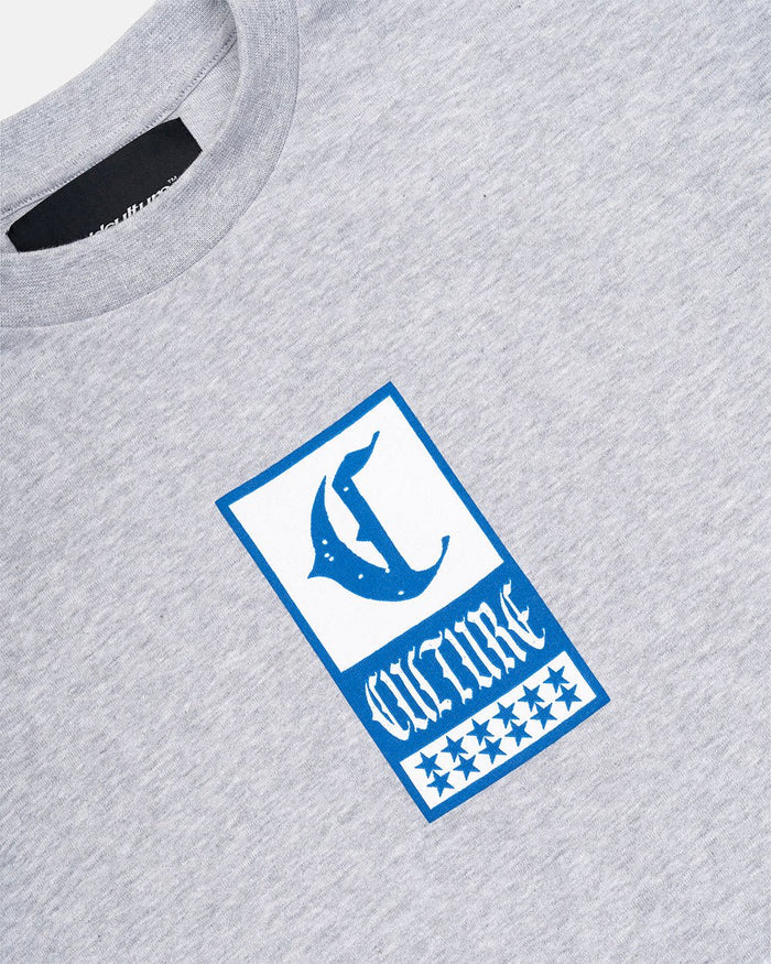 GOTHIC CURVED TEE GREY - grey gothic print tee, detail close-up - Cold Culture