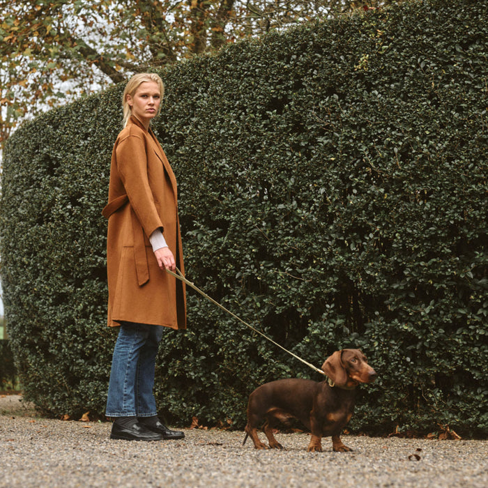 Woman in a brown coat walking a small dog on a leash in front of a hedge.