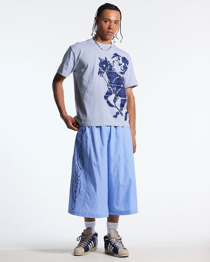 STALLION TEE HEATHER GREY - heather grey graphic print tee, front view on male model - Cold Culture